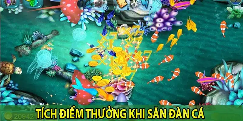 Tích luỹ điểm thưởng khi săn đàn cá